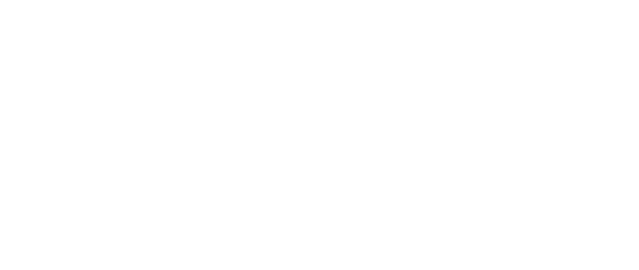 Lupin Healthcare Limited